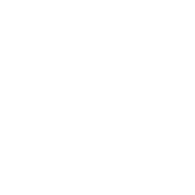 icons8-voip-100 – Copy (2)